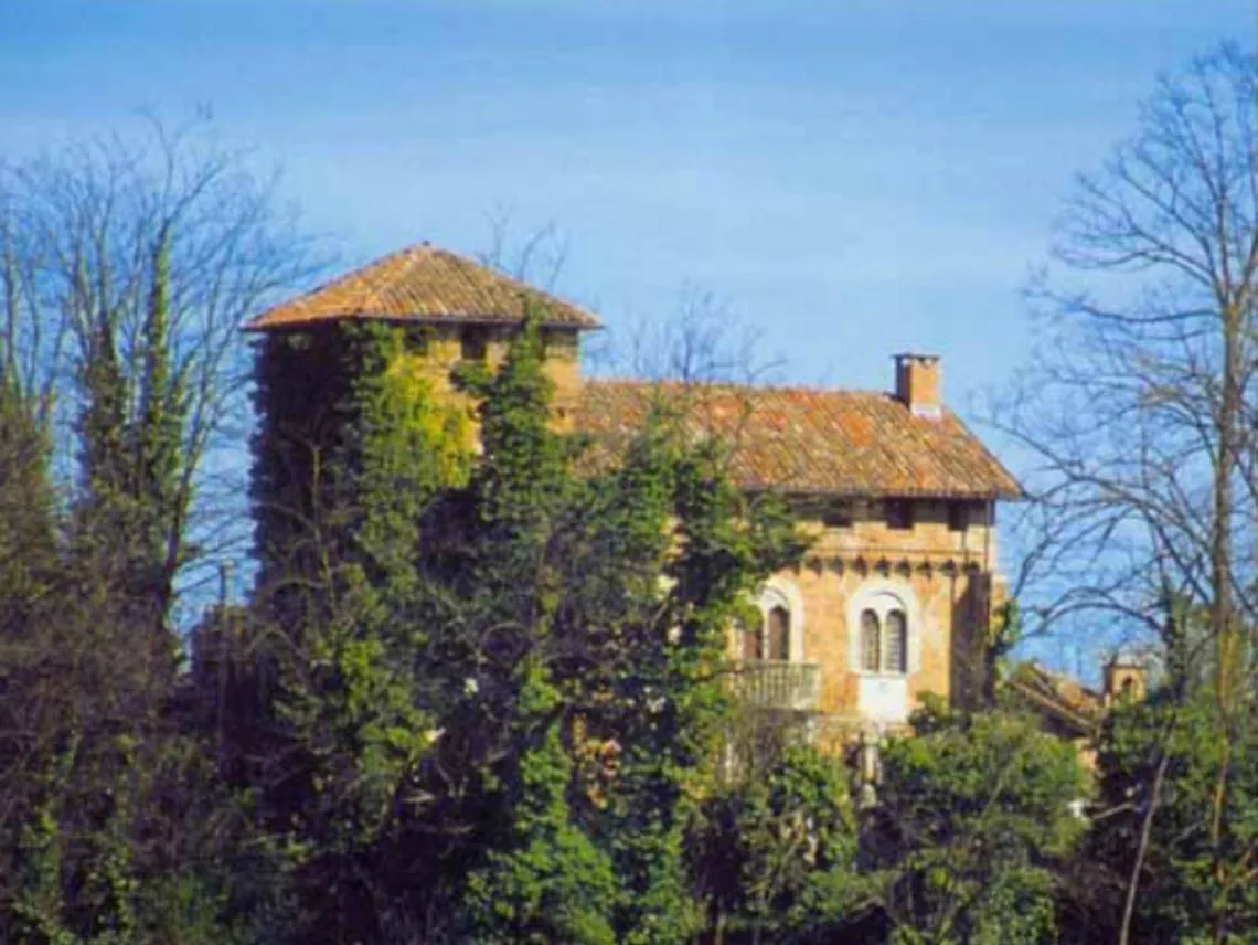 Domenica la "viola pomposa" in scena<br/>Concerto al castello di Belveglio