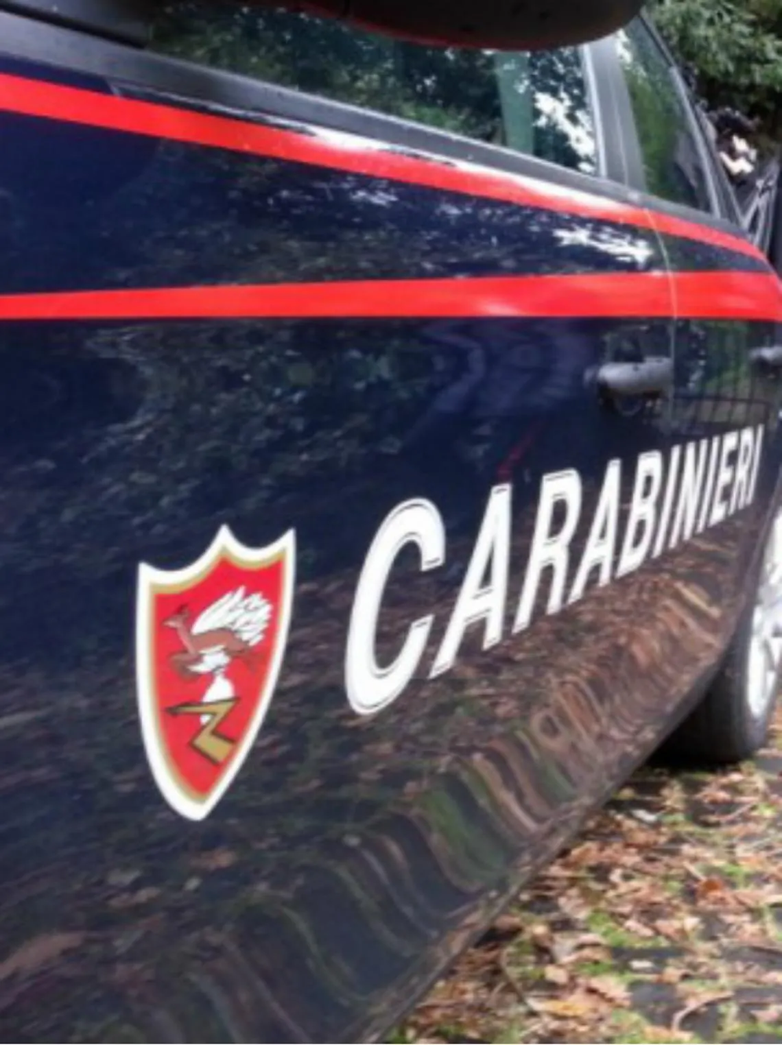 Furti e guida in stato d'ebbrezza<br/>9 denunce e 1 arresto nel weekend