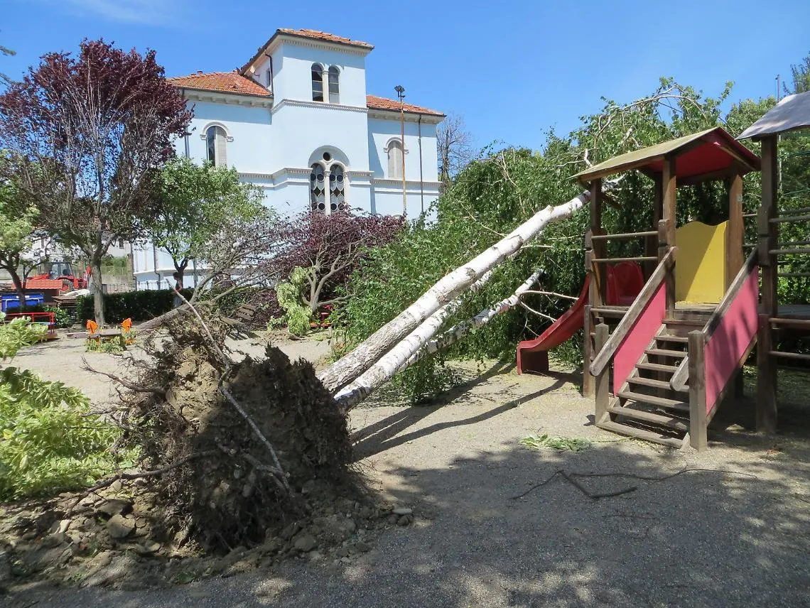 Bubbio, "&egrave; un disastro": pini sradicati<br/>e tetti traballanti, la chiesa &egrave; chiusa