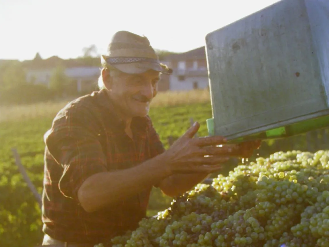 Asti nei comuni della docg del Moscato<br/>Gioved&igrave; il consiglio comunale aperto