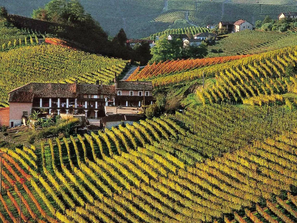 Nei vigneti si sperimenta la lotta<br/>contro la flavescenza dorata