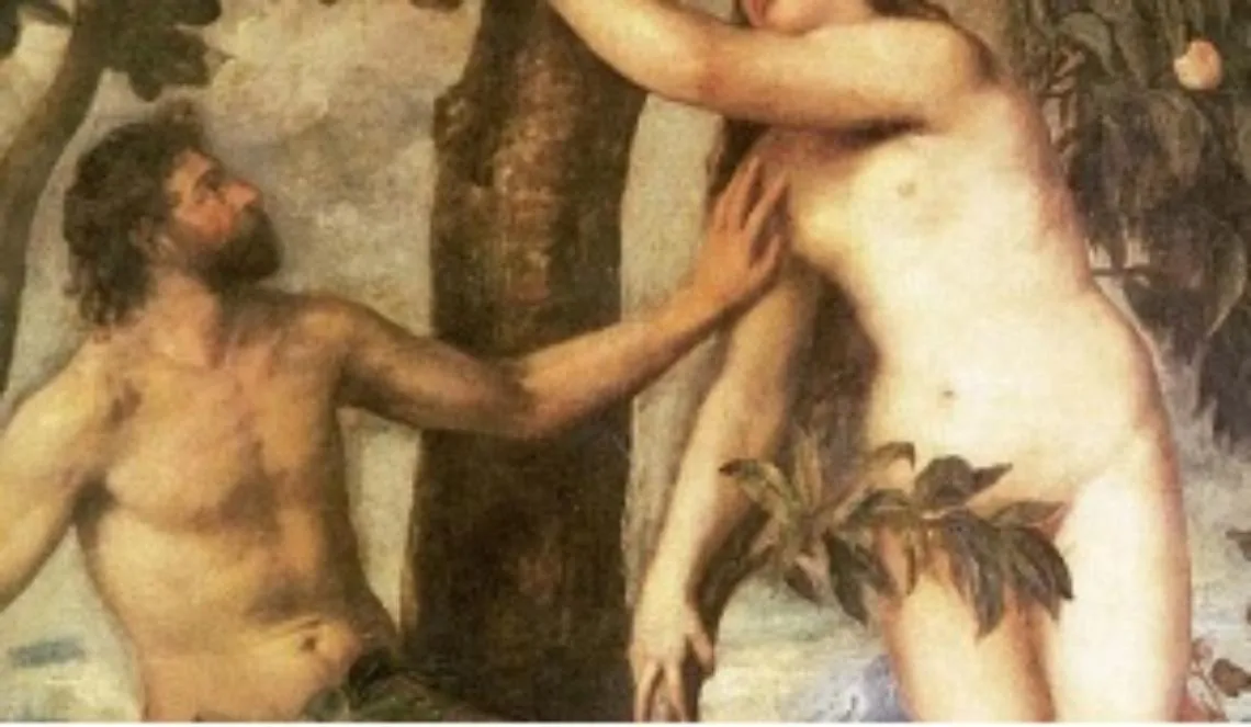 Sar&agrave; responsabilit&agrave; di una costola?