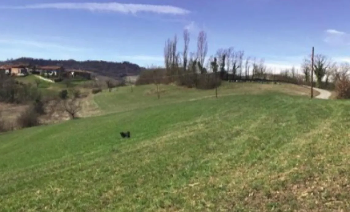 Canuto, stasera riunione, poi si va al Tar