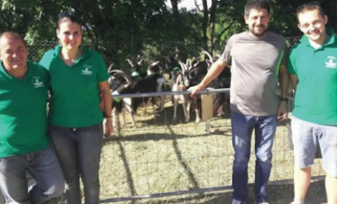 Le caprette langarole che producono reddito