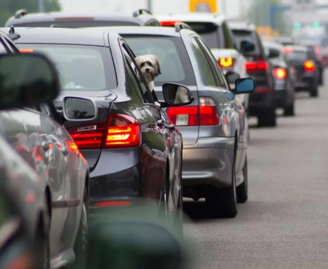 traffico