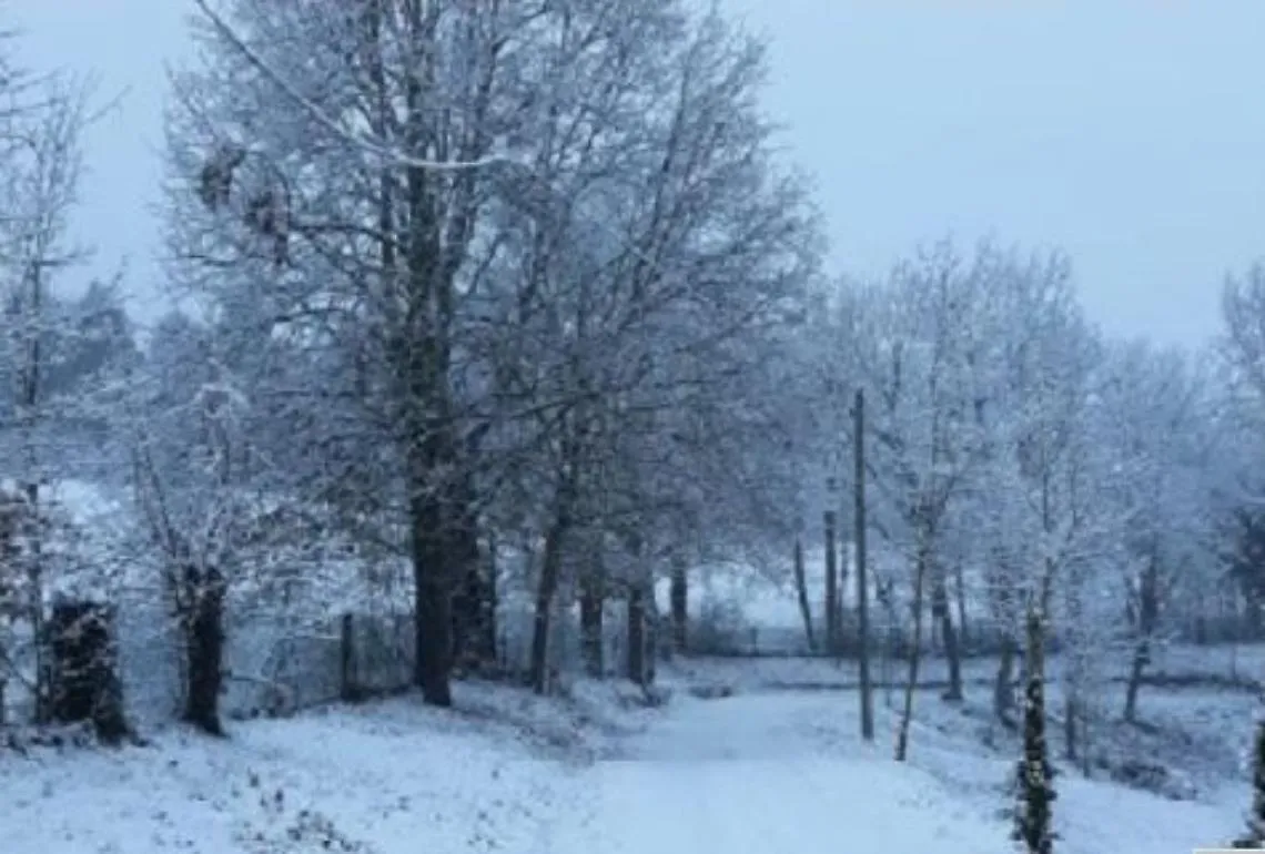 neve blanda