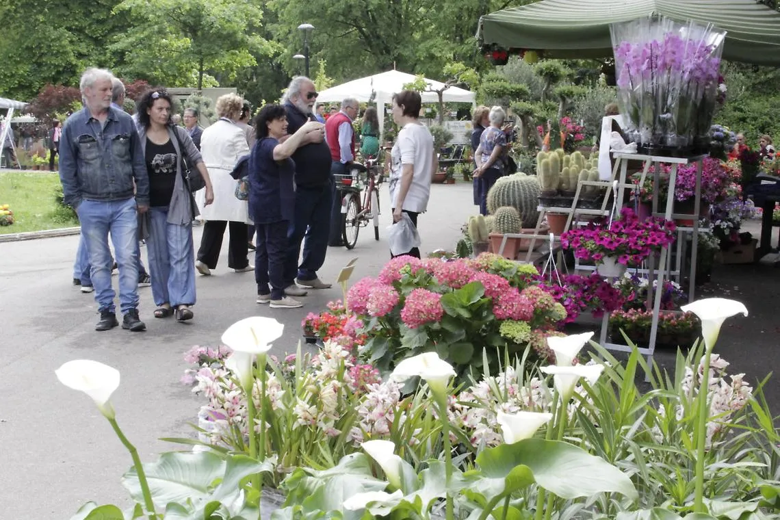Florart 2018
