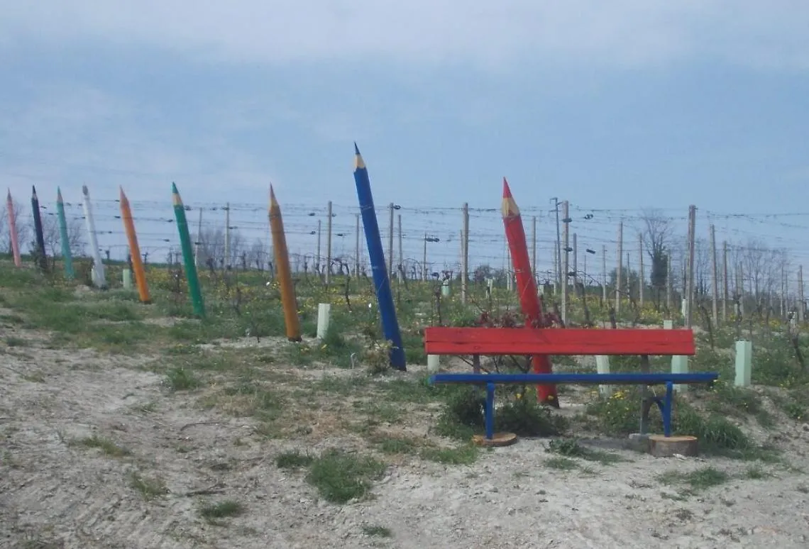 vigna dei colori cocconato