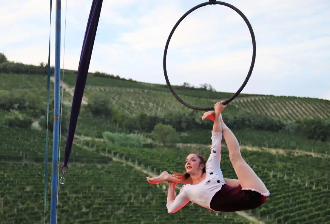 Acrobati
