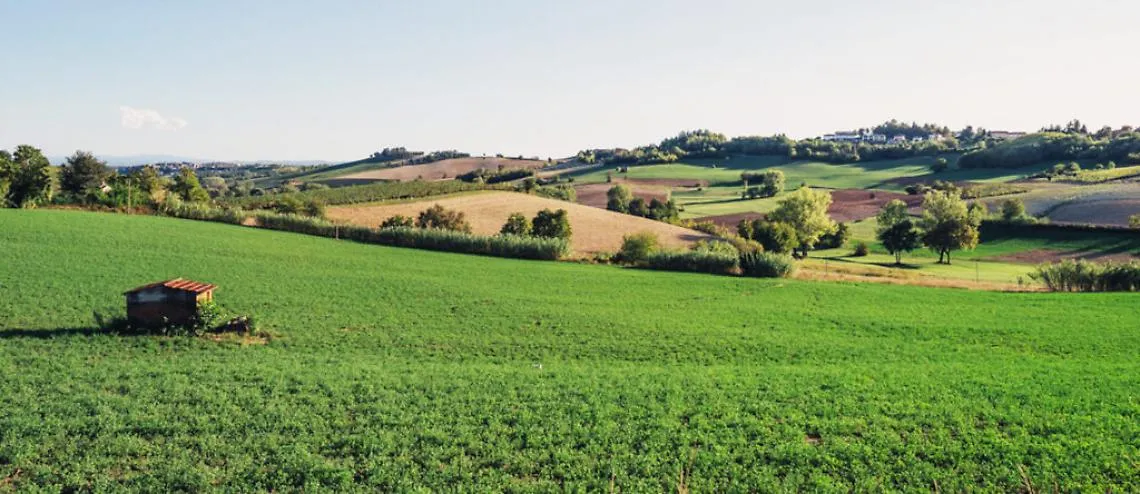 Gal terre