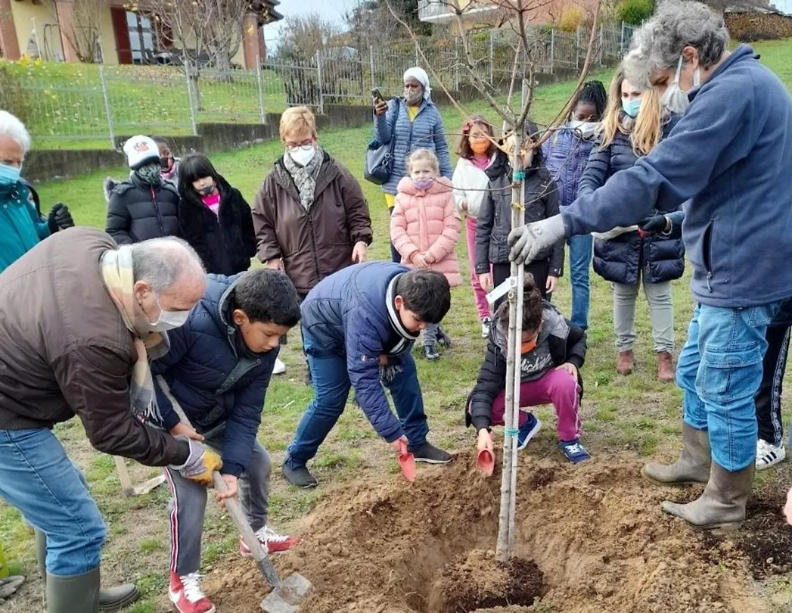 Savio scuola festa albero