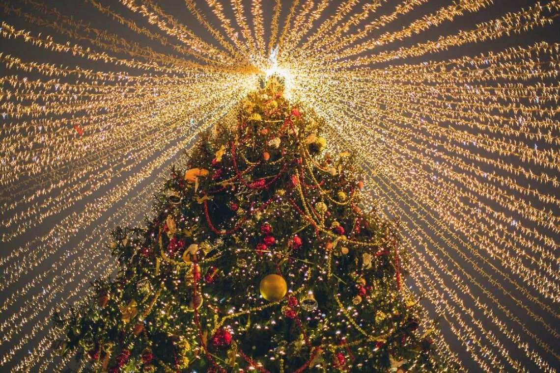 Albero di Natale generico