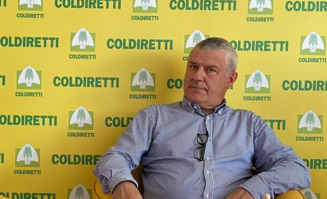 MARCO REGGIO2 (1)