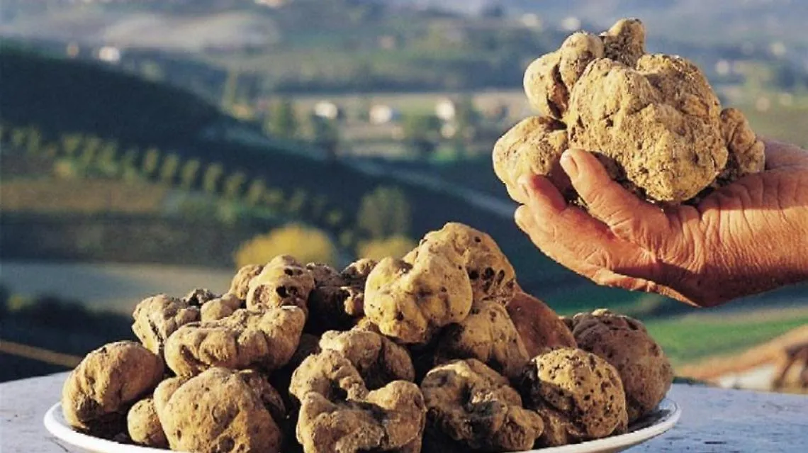tartufo interno