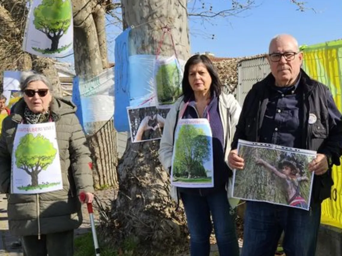 Platani di corso Savona protesta sit in risultato