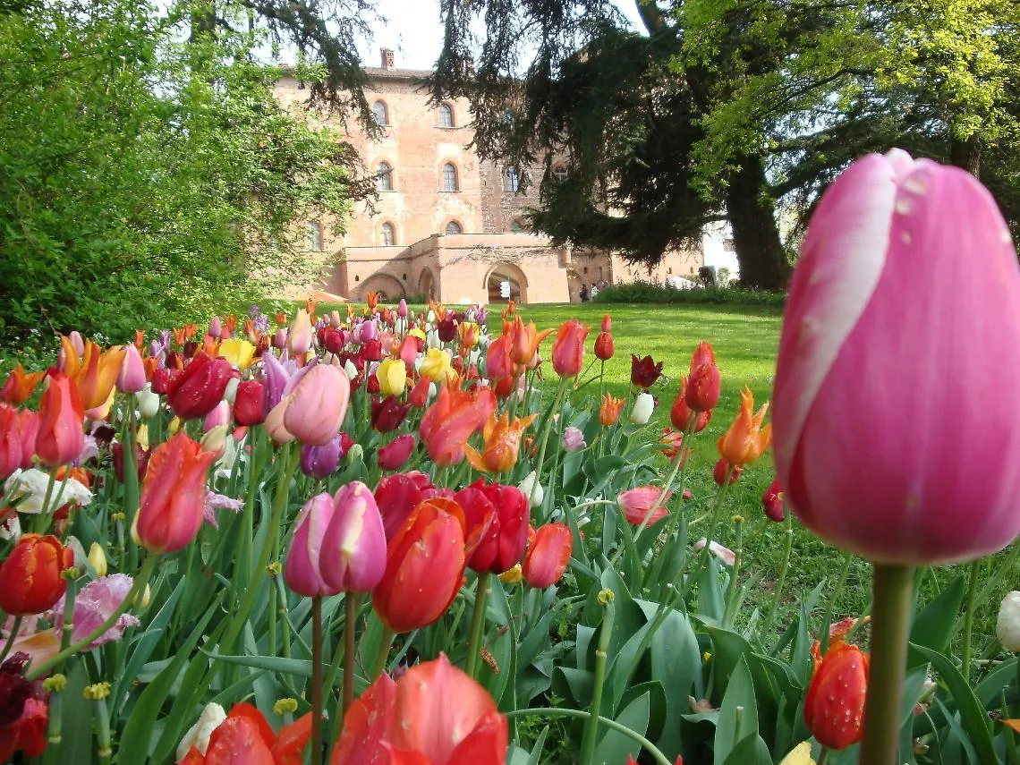 Messer Tulipano 2026: a Pralormo fiorisce la primavera dei 130mila bulbi