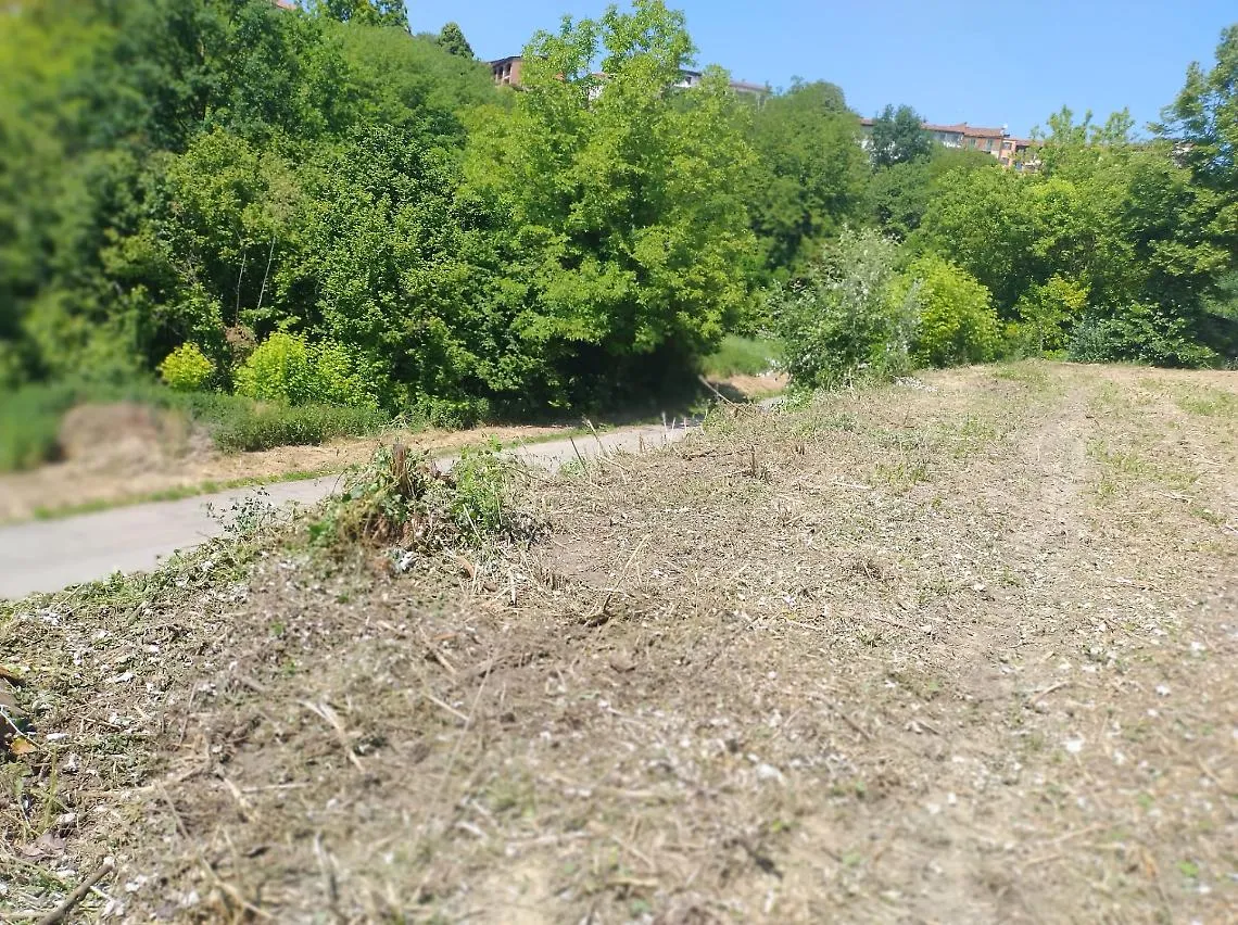 Lavori di trinciatura al Pollaro di Portacomaro, la minoranza interpella il sindaco Balliano