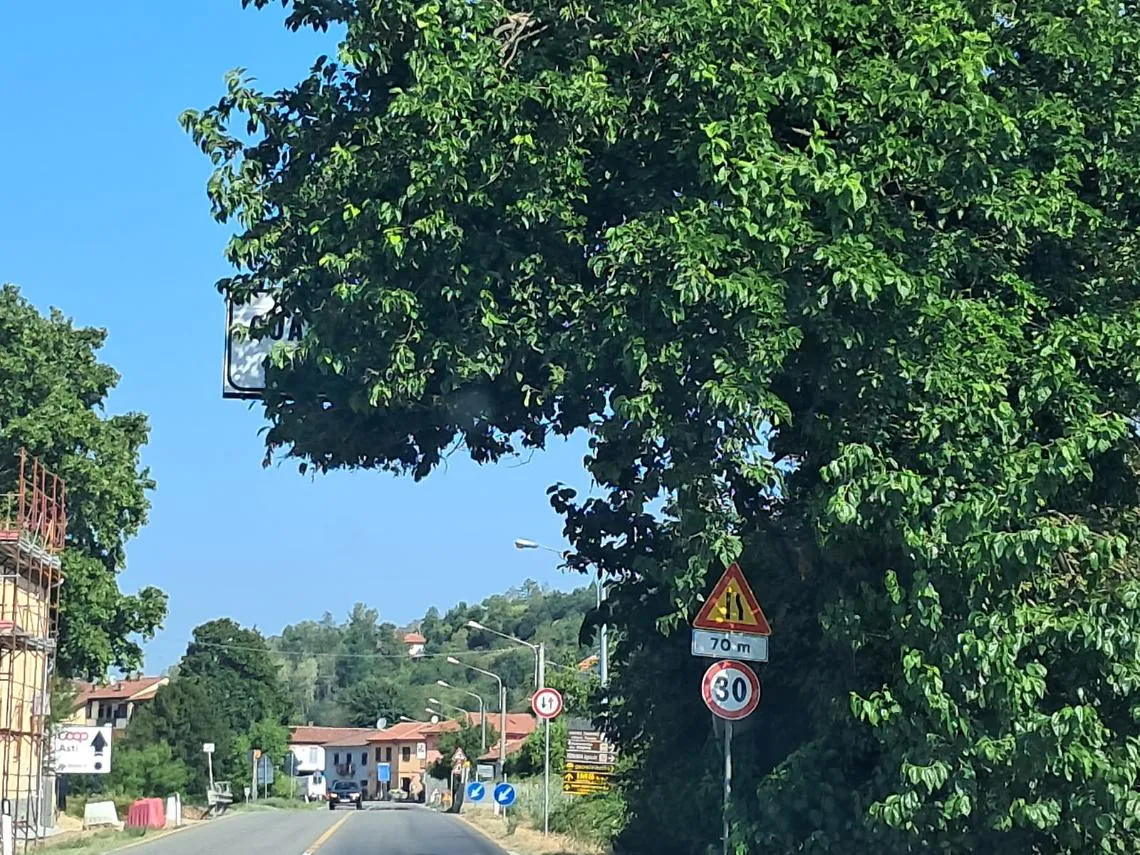 Indovina dove sei? Cartello all'ingresso della citt&agrave; completamente nascosto dall'albero