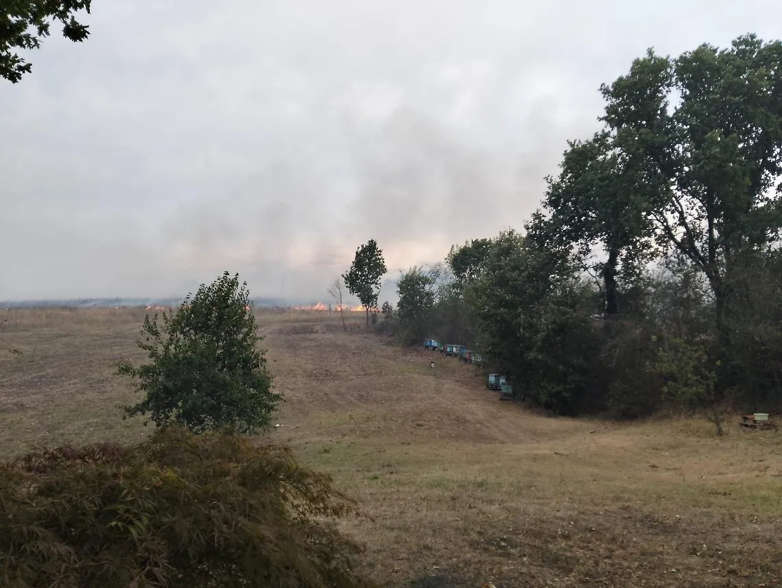 Vasto incendio a Valterza, bruciano 7 ettari di collina