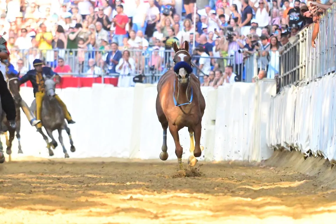 Palio di Asti, con il cavallo scosso si completa la rosa dei finalisti
