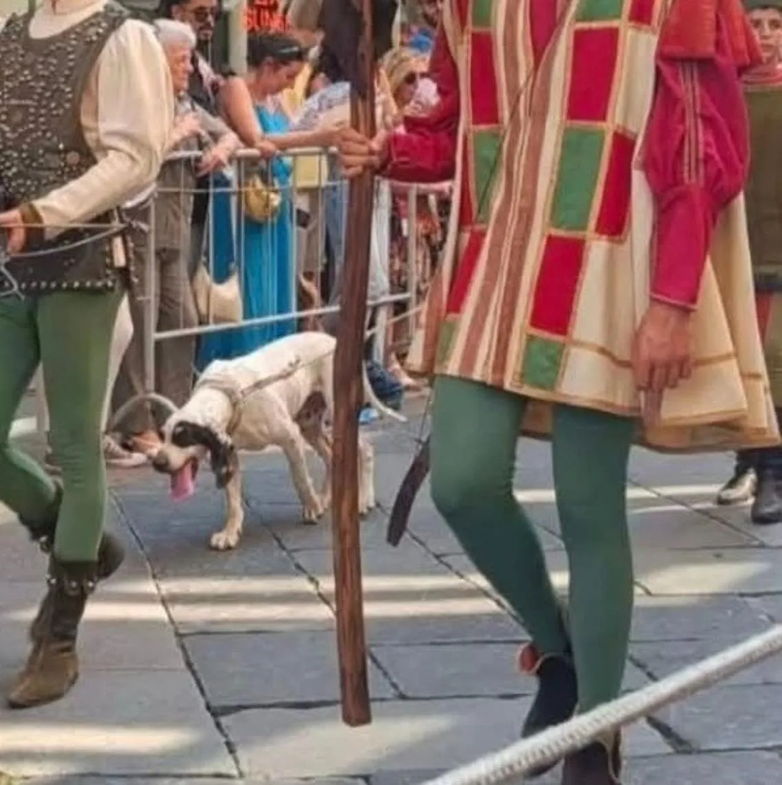 Miroglio, Verdi, chiede al Sindaco: &laquo;Non &egrave; il caso di spostare la sfilata di sera e evitare scene angoscianti come il cane assetato e trascinato sull'asfalto?&raquo;