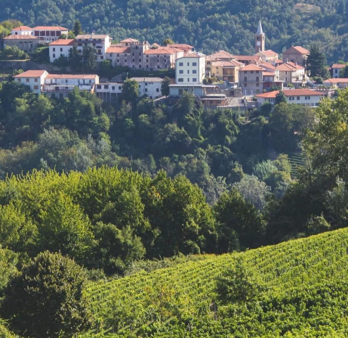 Veduta Loazzolo