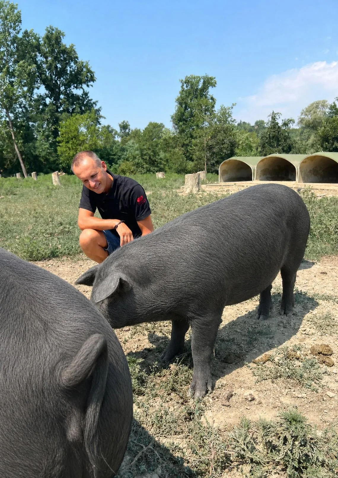 L'Agrisalumeria Luiset presenta i primi salumi ottenuti da Suino Nero Piemontese