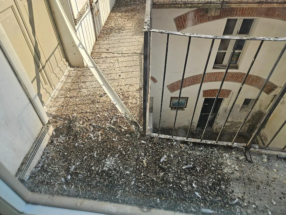Il guano dei piccioni su uno dei balconi interni di Palazzo Ottolenghi