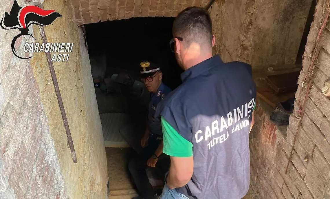 Il "lavoro di squadra" di un intero paese per scoprire lo sfruttamento degli schiavi delle vigne