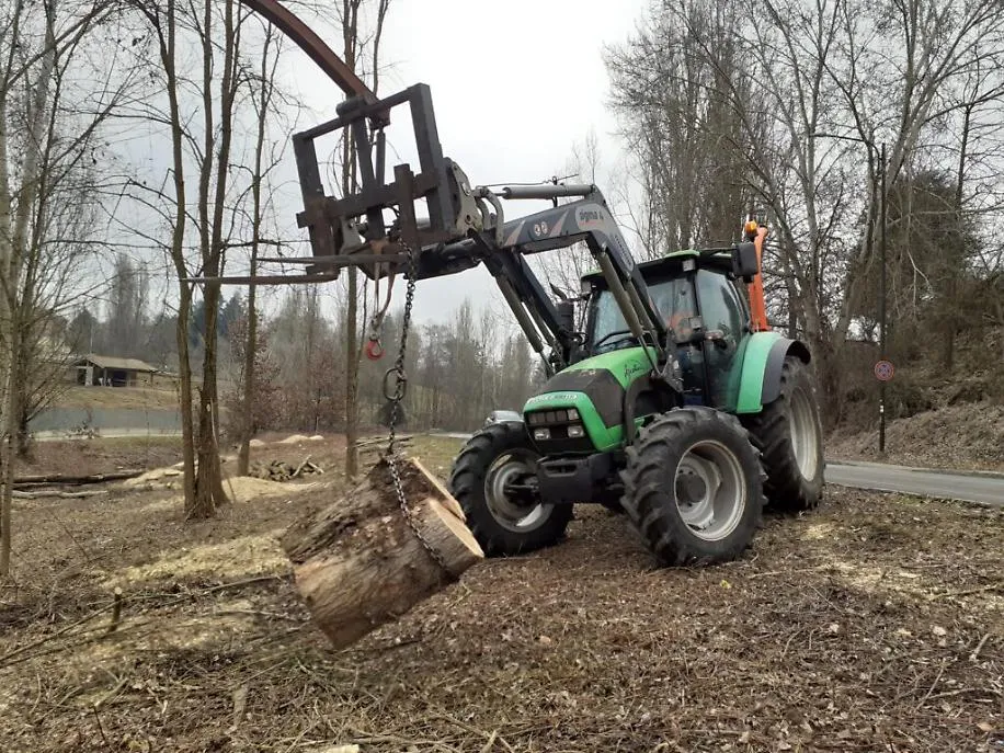 Taglio alberi corso Pertini5