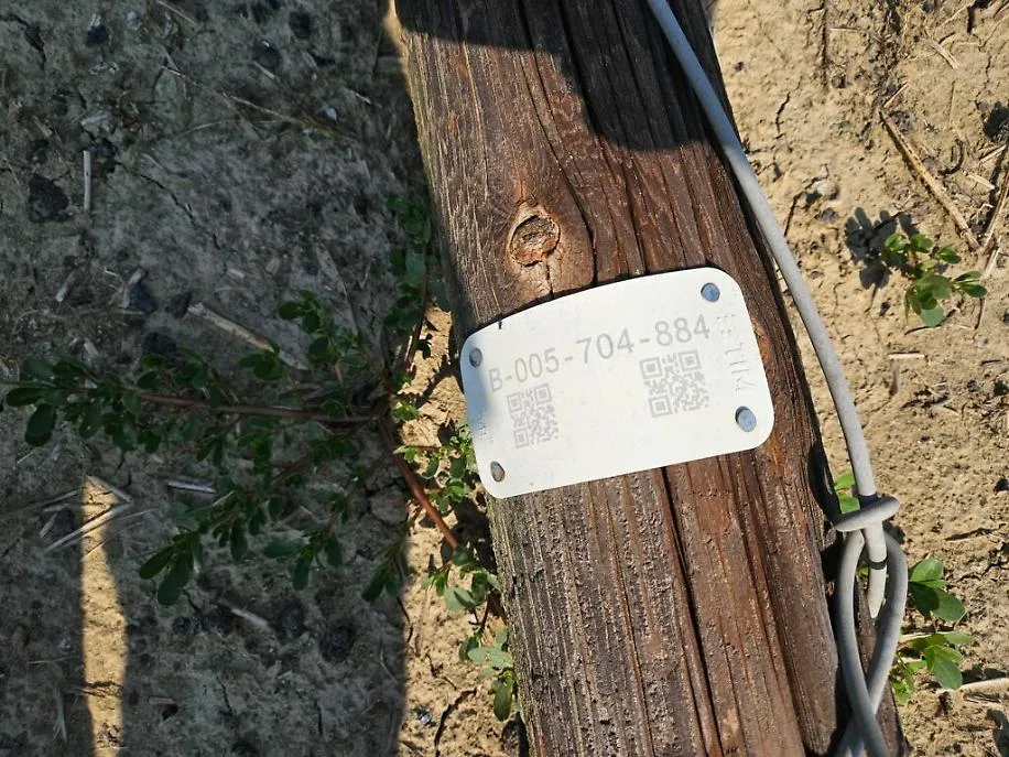 Pali Telecom a Pontesuero