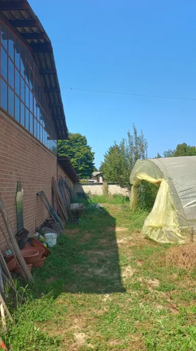 la rimozione del palo