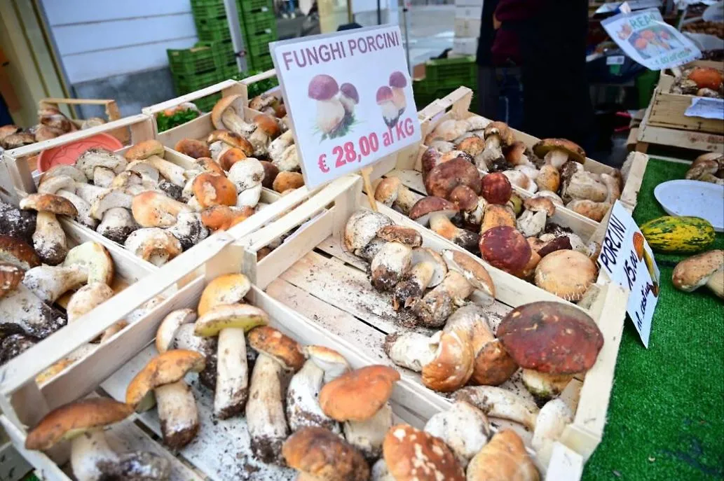 Fiera d'Autunno di Asti ottobre