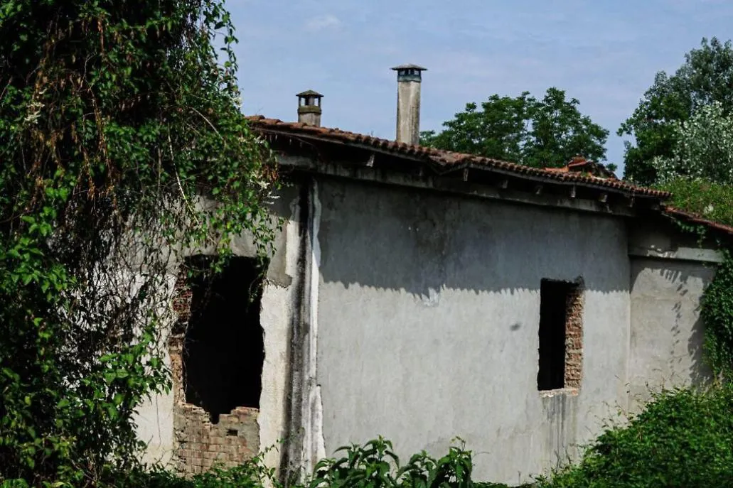 Colonia felina Casa dell'Avvocato di via Ticino