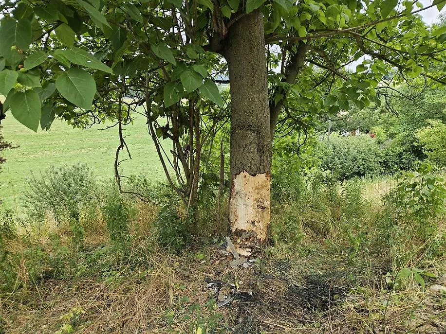 incidente mortale a Viatosto risultato