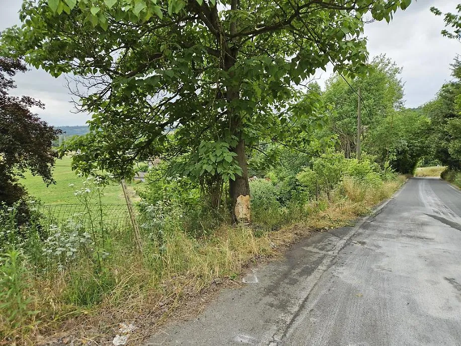 incidente mortale a Viatosto risultato