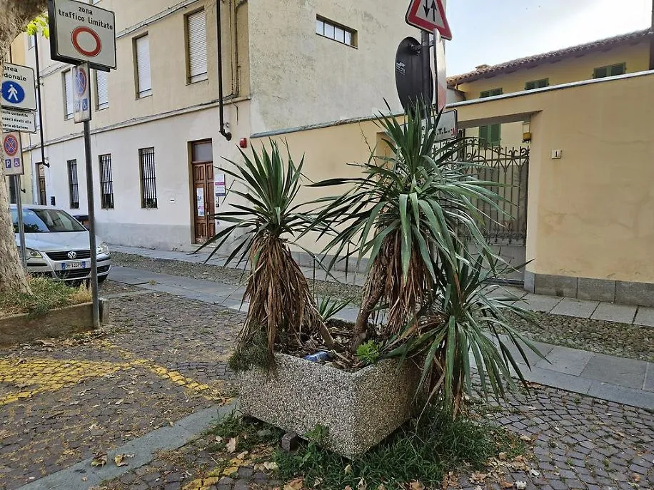 Piazza Castigliano Asti degrado risultato