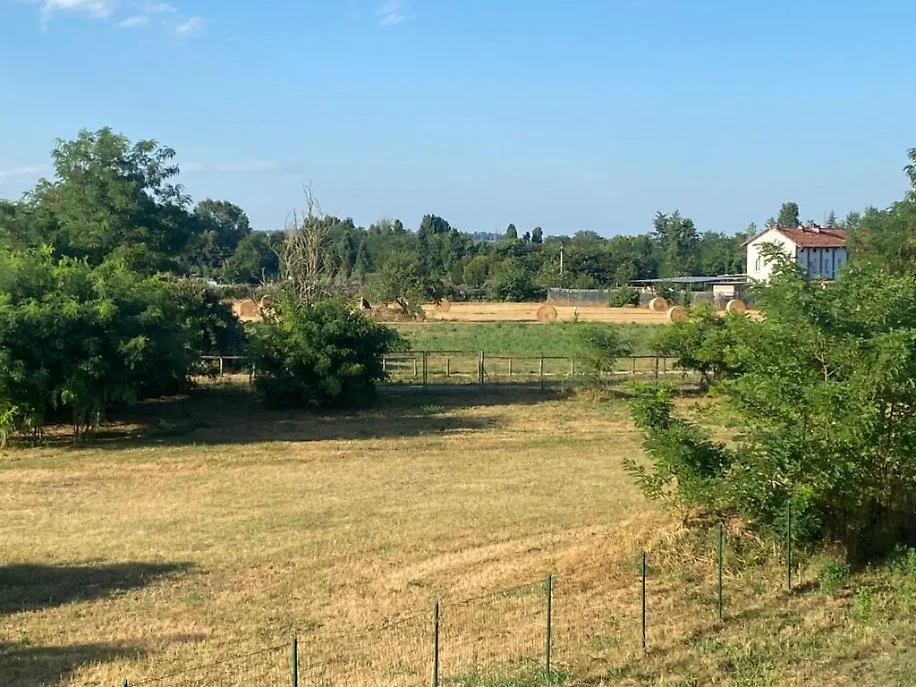 Pista da ciclocross