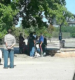Villafranca: si spoglia al parco e chiede rapporti sessuali brandendo un bastone