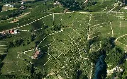 Nizza Docg: crescono i produttori e gli ettari vitati