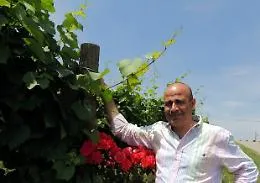 Mobrici: "Servono gli Stati generali del vino. La vera sfida &egrave; garantire alle imprese la possibilit&agrave; di generare valore"