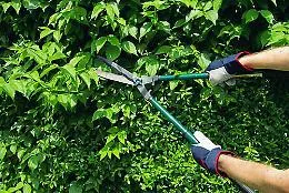 Gaia, ecocentri aperti anche senza prenotare ma solo per portare sfalci e potature