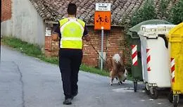 Castelnuovo don Bosco: si cerca da ieri un anziano scomparso da casa