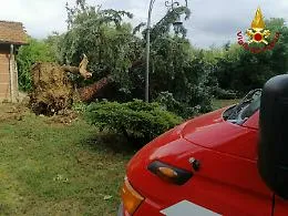 Asti, persona intrappolata sull&rsquo;auto travolta da un albero abbattuto dal temporale