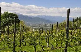 Il Piemonte riparte dalle sue eccellenze: ecco dove la Regione investe per uscire dalla crisi