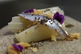 Il cardo gobbo di Nizza Monferrato &egrave; stato protagonista alla Fiera del Tartufo di Alba