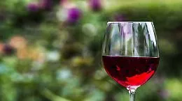 Dal Piemonte la promozione del vino sui mercati dei Paesi extra europei