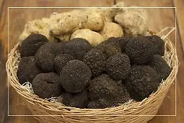 Con &ldquo;Nero Sublime&rdquo; tre giorni di omaggio al tartufo estivo