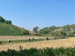 Tutte le chiusure al traffico sabato 3 ottobre in occasione del "Trail della Barbera"