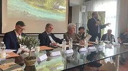 Alfiano Natta: il Monferrato diventa terra d&rsquo;olio, numeri in crescita